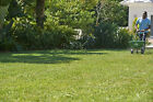 Scotts Southern Turf Builder Lawn Food 42 18 Lbs  Covers 15 000 Sq  Ft 
