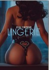 Lingerie Girls 2026 Calendar - A3 Size 30 X 42 Cm