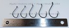 Lunker 100 Circle Hooks Black Nickel  1 0  2 0  3 0  4 0  5 0 - 20 Each   Case 