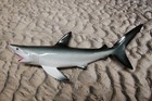 1- Yikes   18  Great White Shark Wall Hanging species Correct Replica sh-02