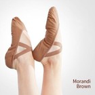 Women Ballet Shoes Dance Adult Children Ballet Slippers Soft Sole Canvas