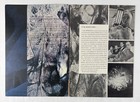 Fantastic Voyage Us Program 1966 24 Pages 8 25x11 75 Sci-fi Movie Poster 28535