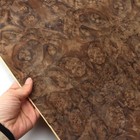 22    98   Black Walnut Burl Wood Veneer Sheet 0 25mm For Tabletop Woodworking