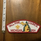 Tall Pine Council Michigan Bsa Patch