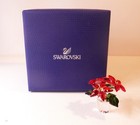 Swarovski Crystal Christmas Small Poinsettia In Pot 2017 Issue 5291023 W box