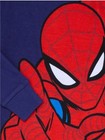 Spiderman Toddler 2 Pc Pajama Sleep Set Long Sleeve   Pants 12 Month - 5t  nwt 