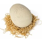 Dino Rising     Interactive Jurassic Dinosaur Toy  Incubate  Hatch   Train Your Ba