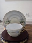 Victoria Austria Crown Stamp  10 Daisies Teacup And Saucer Set Early 1900s