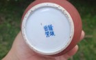       fine 19th Century Chinese Export Bottle Vase  Oxblood  Sang De Boeuf