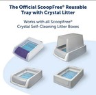 Petsafe Scoopfree Reusable Tray With 4 3 Lb Of Crystal Cat Litter  Fresh Scent