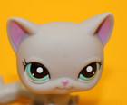 Littlest Pet Shop  Hasbro Lps Figur  2185