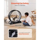Large Cat Exercise Wheel 31 5 Inch Indoor Treadmill Pet Fitness Equipment Black