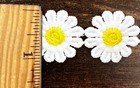 8 Continuous Yards  - 1  Daisy Flower Venice Venise Lace Trimming 