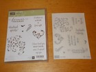 Stampin up First Sight Clear-mount Stamp Set New