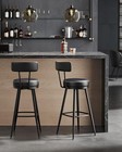 Ekho Collection - Bar Stools Set Of 2  Swivel Bar Height Bar Stools With Back 
