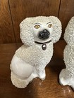 Vintage Staffordshire Poodle Pair 4 5  Porcelain Dogs White England Confetti Set