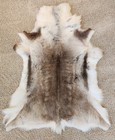 Authentic Icelandic Reindeer Hide Rug Throw Decorative Fur Skin Nordic Decor