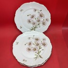 Mitterteich Daisy Bell 10 1 2  Dinner Plates