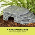 Medium Herp Hotel Naturalistic Hide - Bearded Dragon Basking Platform