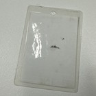 Ramones All Access 1995 Adios Amigos Tour Backstage Laminated