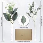 Mixed Eucalyptus Leaves Stems Bulk With White Seeds Artificial Silver Dollar    