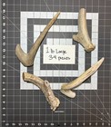 One Pound Of Large Natural Deer Antler Dog Chews   big_buck_bites_llc  