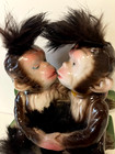 Vintage  50s - Bradley Novelty Co  - Kissing Monkeys On Bench Ceramic Figurine