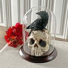 Plymor 5 5  X 8  Glass Display Dome Cloche  dark Mahogany Veneer Base 