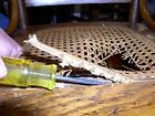 24  Width Cane Webbing  1 2  Fine Open   Choose Your Length