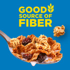 Kellogg s Raisin Bran Crunch Breakfast Cereal  Good Source Of Fiber  Mega Size