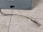 Bally Em Pinball Machine Coin Door  - Used - Parts Or Repair