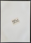 1986 Jim Morrison The Doors Original David Sygall 6x9  68 Fillmore Concert Photo