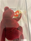 Ty Beanie Baby    authenticated O f Cranberry Teddy Mq 2-1 Absolutely Gorgeous