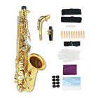 Alto Saxophone E Flat Gold Lacquer Alto Beginner Sax Full Kit Carrying Sax Case