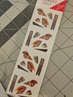 Lot Of 8 Vintage 1998 Dk Dorling Kindersley Shells Microstrips Stickers Rare