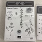 Stampin Up First Frost Rubber Stamp Set W  Frosted Bouquet Framelits Die Set