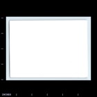 Old Vintage Photo Men Playing Bocce Ball