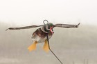 Deadly Decoys Duck Flyer 3-pack     Motion Hunting Decoys  best Value  