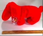 Ty Beanie Baby Buddy  rover  The Dog