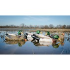 Higdon Battleship Mallard Decoys 6-pack