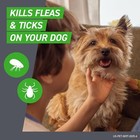 For Dogs Large Dog  45 To 88 Pounds  Flea And Tick Treatment  6 Doses    New Date