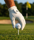  5 - Pack  Albatross Cabretta Leather Golf Glove Men s Regular Sizes