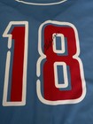  18 Game Used Worn North 2017 Carolina League All Star Jersey Christian Castillo