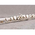 Yamaha Yfl-471 Flute Professional Cupronickel Opening C Key 17 Hole Flute