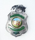 Vintage Obsolete Fire Captain Division Of Forestry - Cdf - California Badge