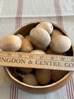 Lot Of 10 Large Dried Cleaned Primitive Egg Easter Spring Gourds Appr 2 5 Inch