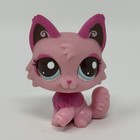 Lps  2664 Littlest Petshop Original Authentic Persian Cat Chat Persan Hasbro