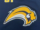 Reebok Premier Buffalo Sabres Afinogenov  61 Nhl Hockey Jersey Adult M Navy Blue