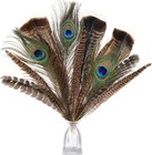 Large Pheasant Bird Craft Feathers 8-12inch 4 Styles 15pcs Assorted Real Long   