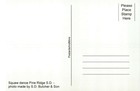 Indian Squaw Dance Pine Ridge South Dakota Sd  Native American - Modern Postcard